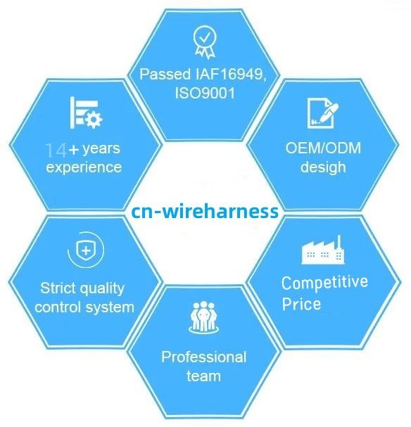 FCC Electrical Wiring Harness Cable Assembly Vehicle Series OEM (Серьеза автомобилей для сборки кабелей для электрических проводов) 11