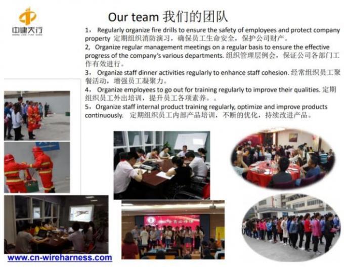 Professional Cable Assembly Solution Forklift Main Wiring Harness Assembly Forklifts Wire Harness